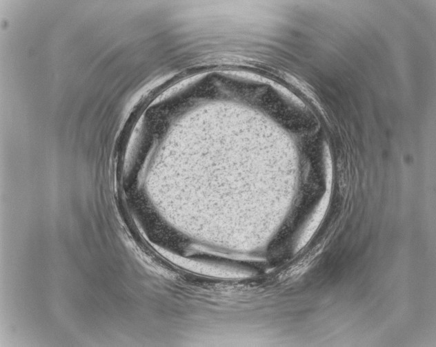 X0000057080987200510071841