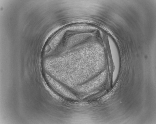 X0000057080991200510071840