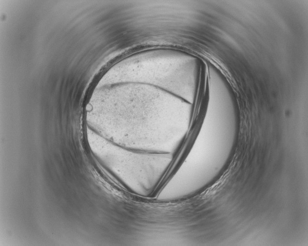 X0000057080992200510071840