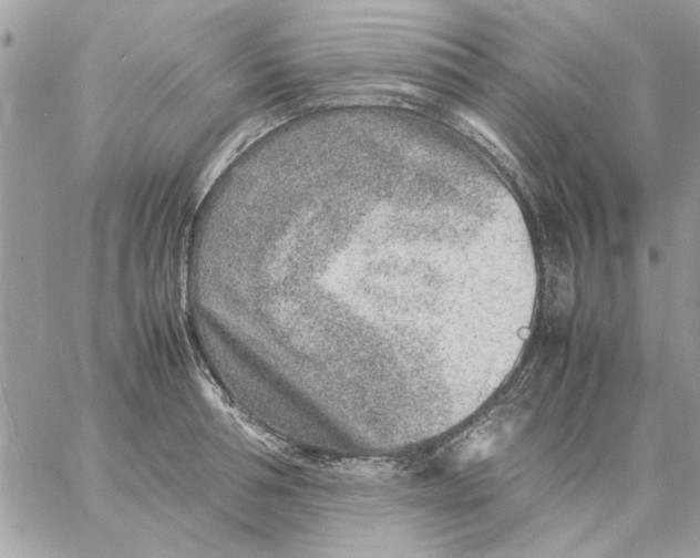 X0000057080994200510071840