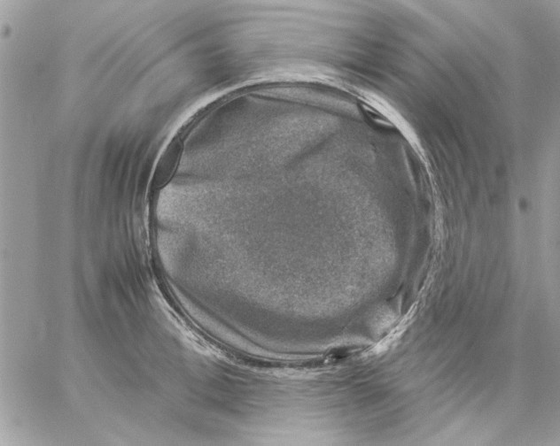 X0000057080996200510071840