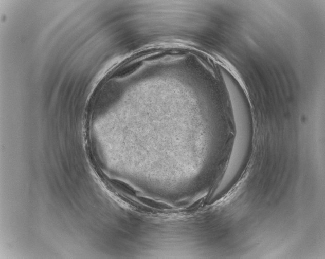 X0000057080997200510071840