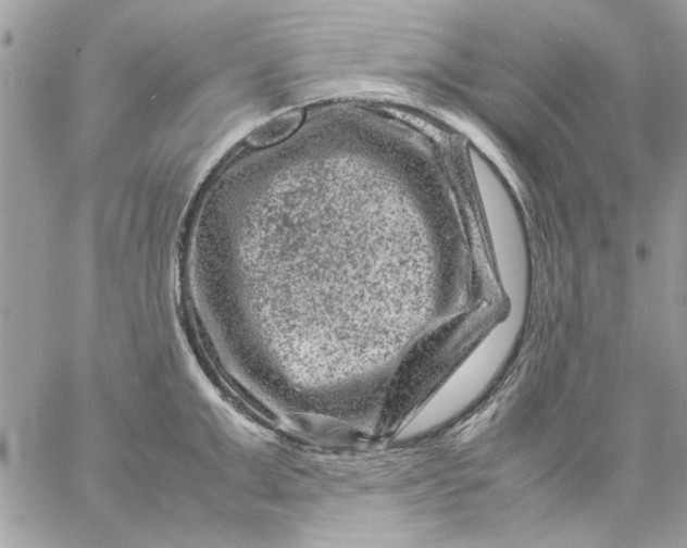 X0000057080999200510071840