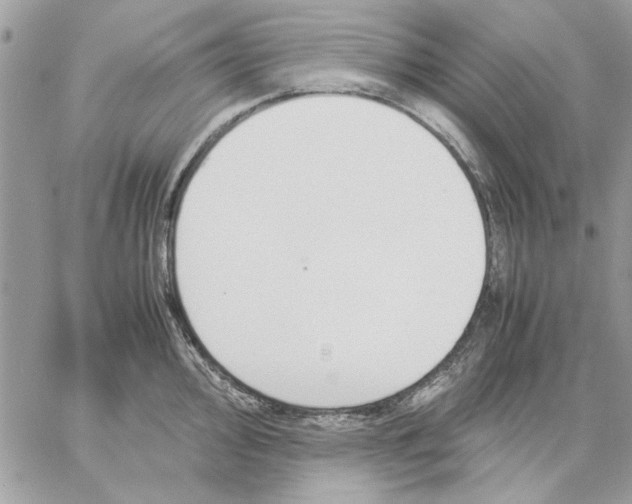 X0000057081000200510071840