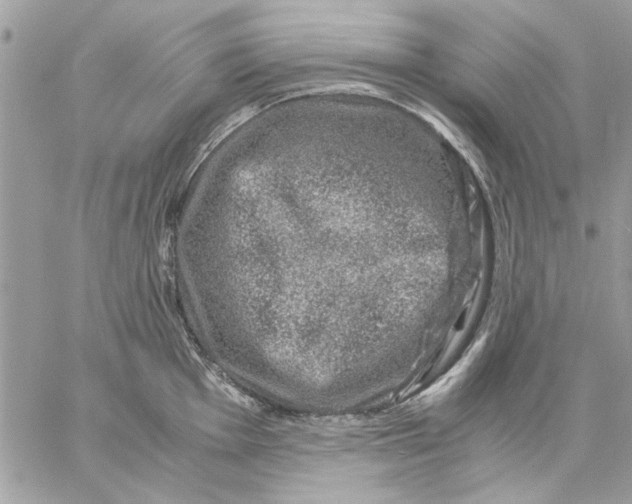 X0000057081001200510071840