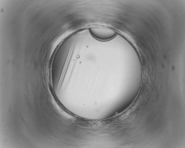 X0000057081003200510071840