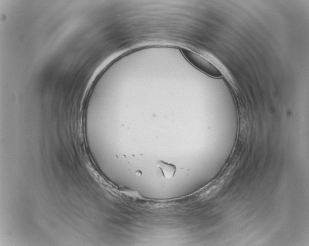 X0000057081004200510071840