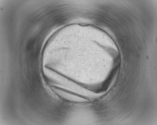 X0000057081008200510071840