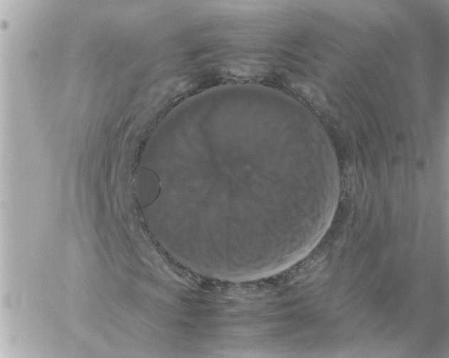 X0000057081009200510071839