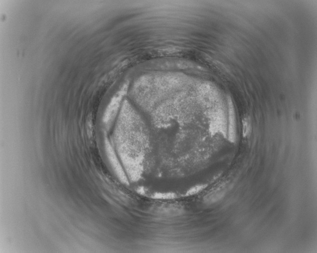 X0000057081011200510071839