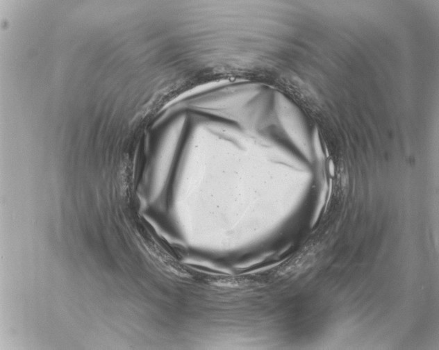 X0000057081012200510071839