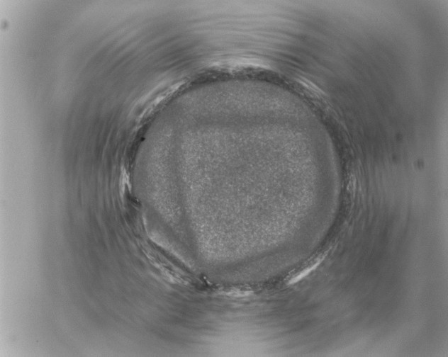 X0000057081014200510071839