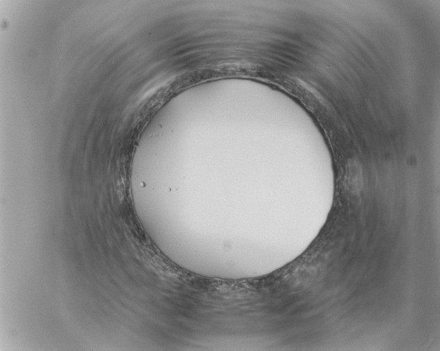 X0000057081015200510071839