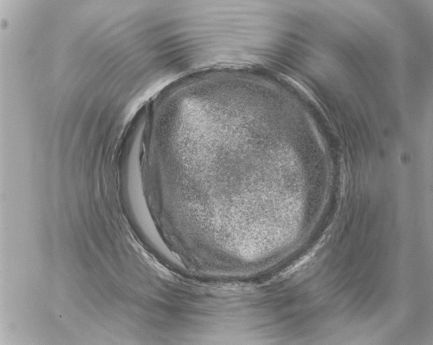 X0000057081018200510071840