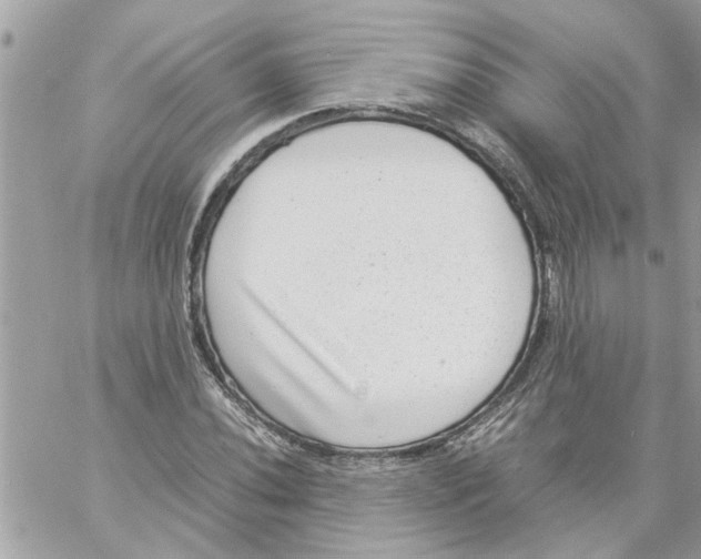 X0000057081020200510071840