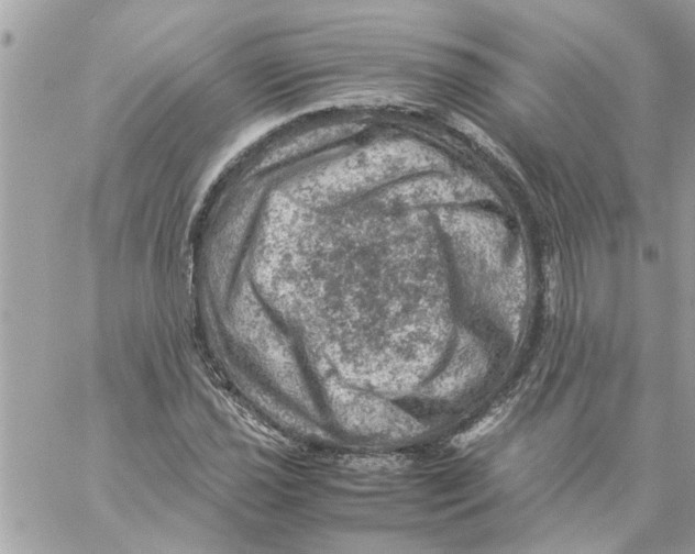 X0000057081021200510071840