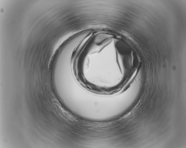 X0000057081022200510071840