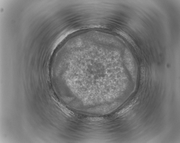 X0000057081023200510071840