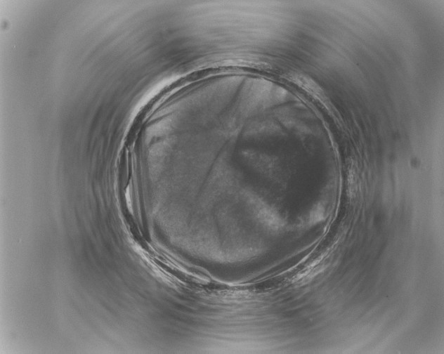 X0000057081024200510071840