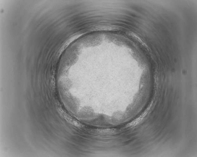 X0000057081025200510071840