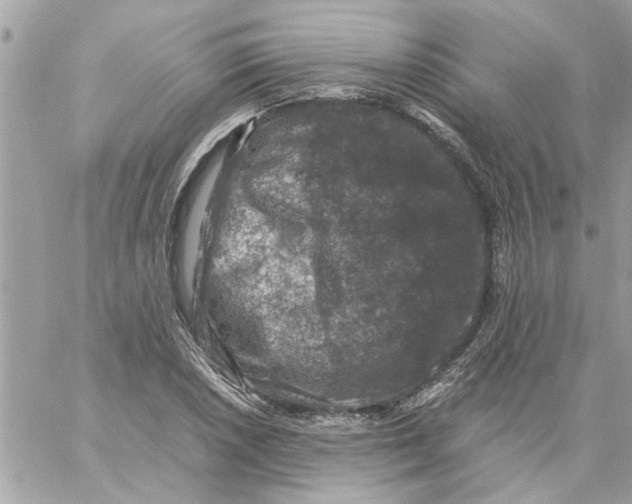 X0000057081026200510071840