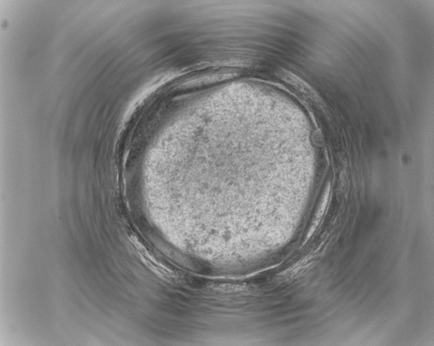 X0000057081027200510071840