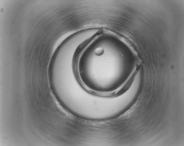 X0000057081030200510071840