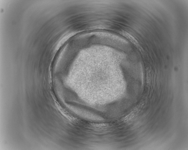 X0000057081031200510071840