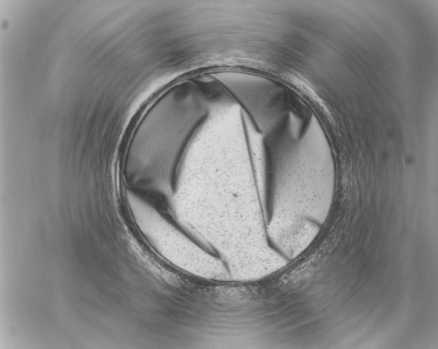 X0000057081032200510071840