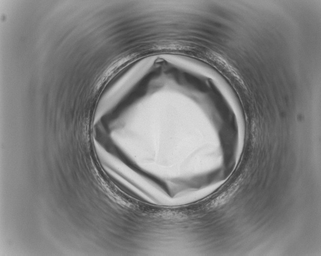 X0000057081033200510071840