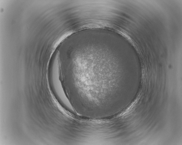 X0000057081034200510071840