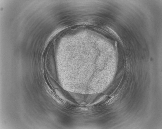 X0000057081035200510071840