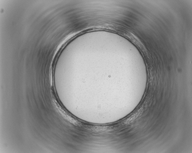 X0000057081036200510071840