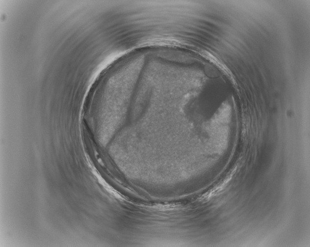 X0000057081037200510071840