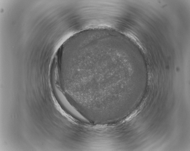 X0000057081038200510071840