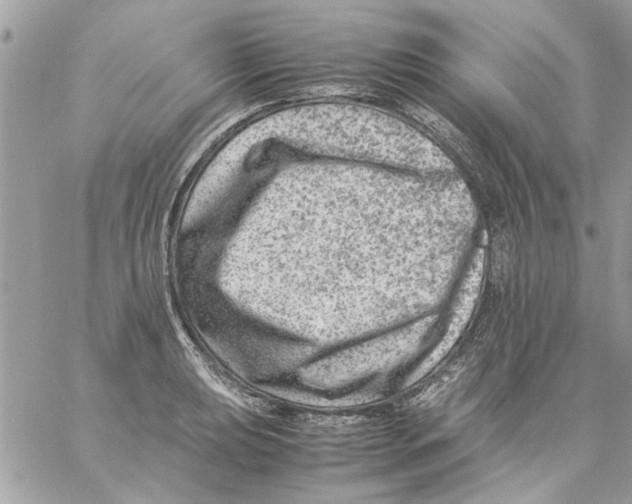 X0000057081039200510071840