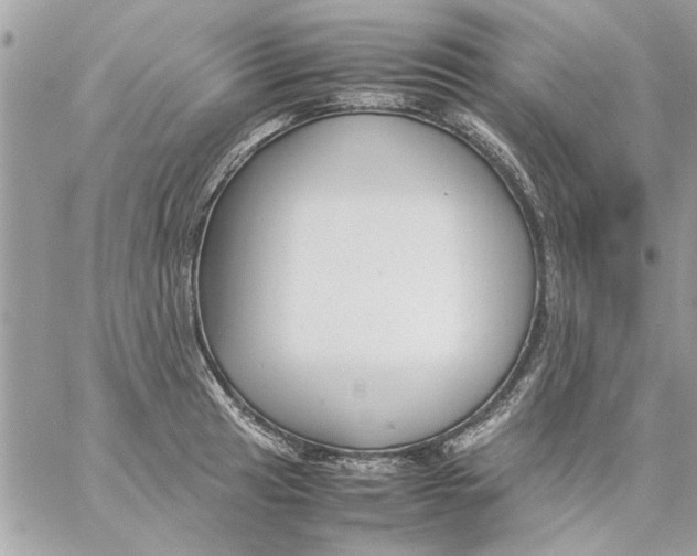 X0000057081041200510071840