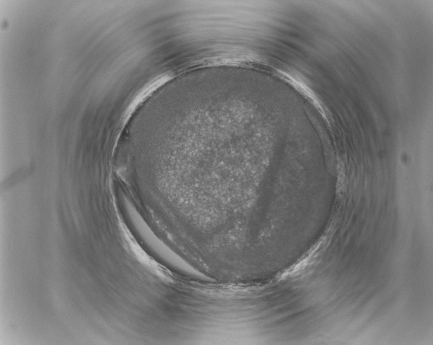 X0000057081042200510071840