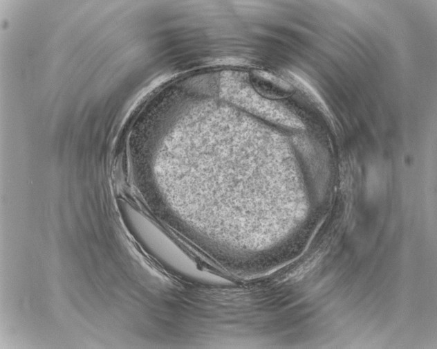 X0000057081043200510071840