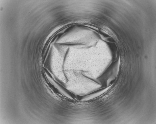 X0000057081044200510071840