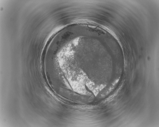 X0000057081045200510071840