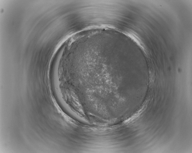 X0000057081046200510071840