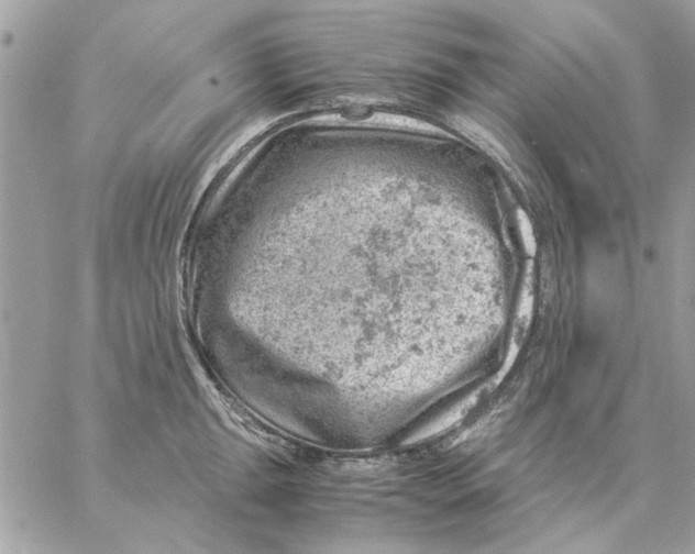 X0000057081047200510071840