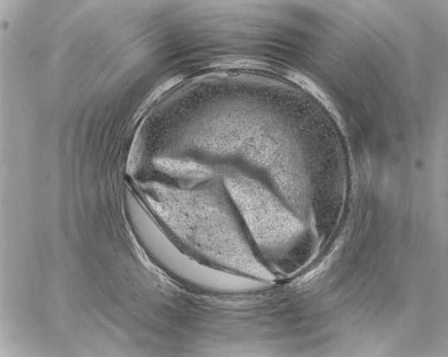 X0000057081049200510071840