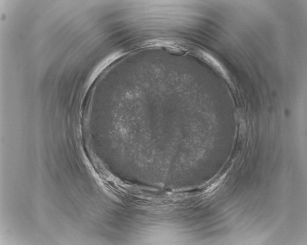 X0000057081050200510071840