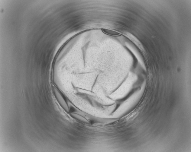 X0000057081052200510071840