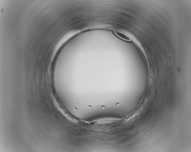 X0000057081053200510071840