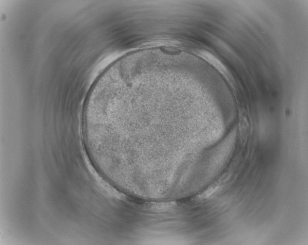 X0000057081055200510071840