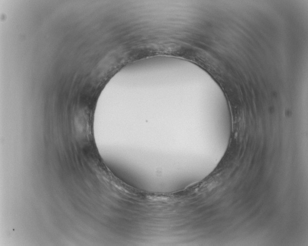 X0000057081058200510071839