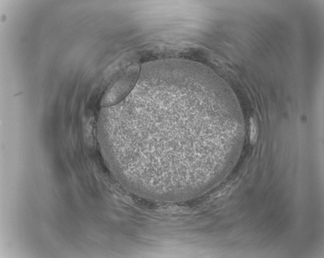 X0000057081059200510071839